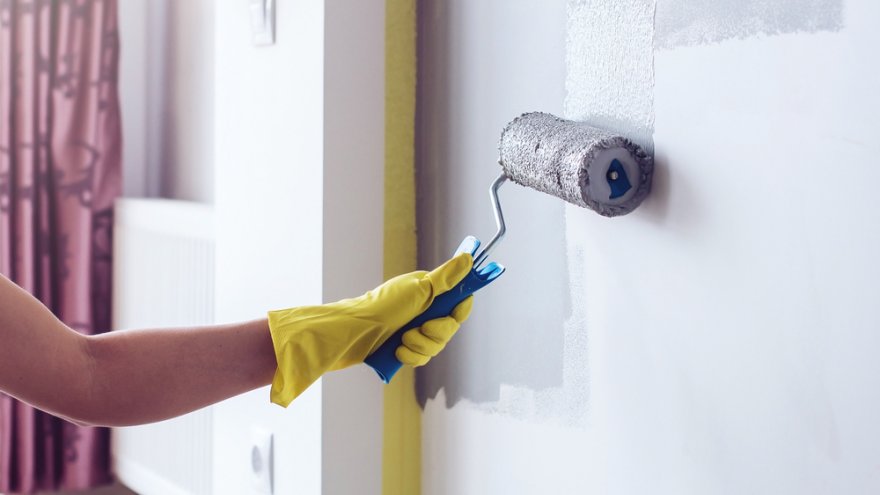 rouleau mur peinture
